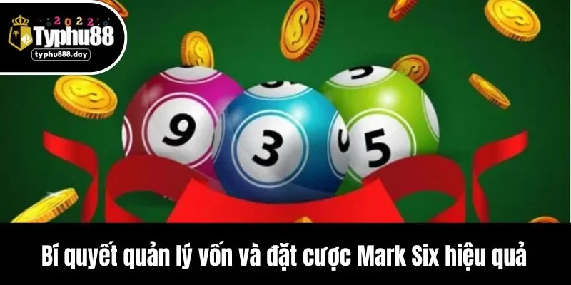 Bí quyết quản lý vốn và đặt cược Mark Six hiệu quả