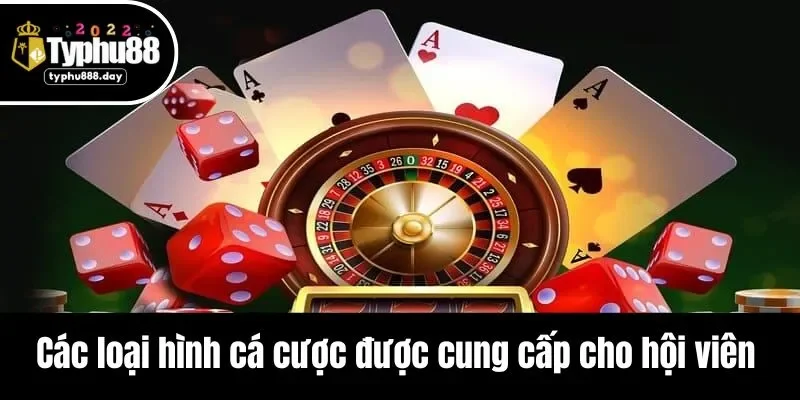 Các loại hình cá cược được cung cấp cho hội viên 