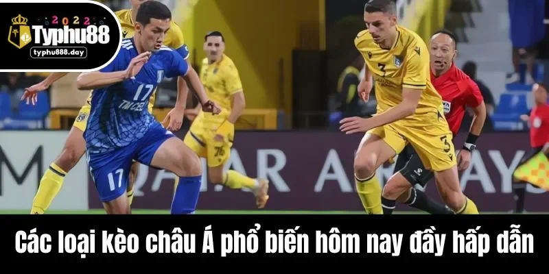 Các loại kèo châu Á phổ biến hôm nay đầy hấp dẫn