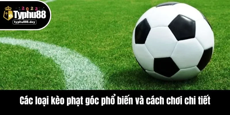 Các loại kèo phạt góc phổ biến và cách chơi chi tiết 2025