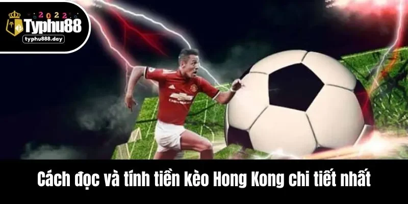 Cách đọc và tính tiền kèo Hong Kong chi tiết nhất
