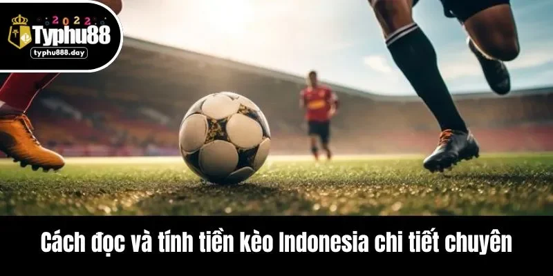 Cách đọc và tính tiền kèo Indonesia chi tiết chuyên
