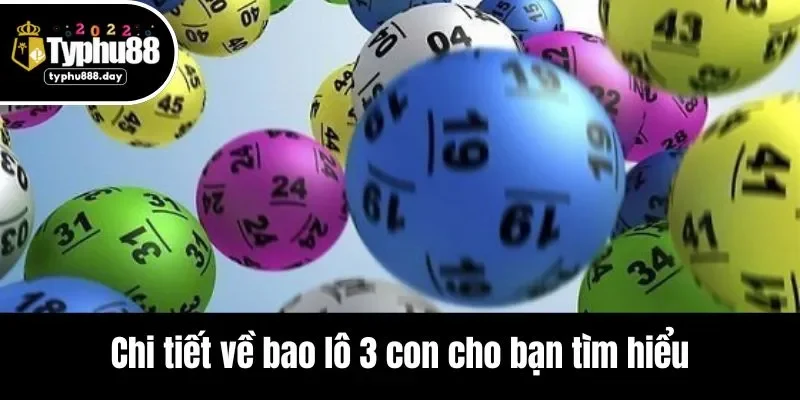 Chi tiết về bao lô 3 con cho bạn tìm hiểu