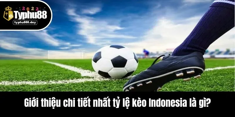 Giới thiệu chi tiết nhất tỷ lệ kèo Indonesia là gì?