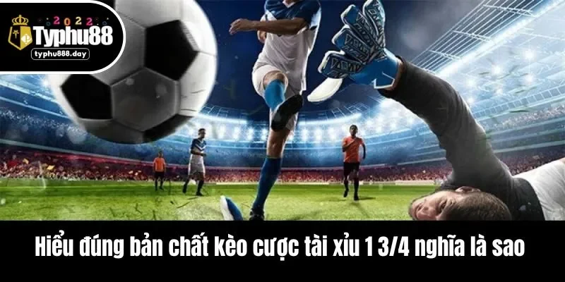Hiểu đúng bản chất kèo cược tài xỉu 1 3/4 nghĩa là sao 