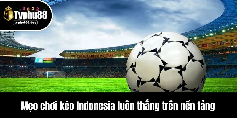 Mẹo chơi kèo Indonesia luôn thắng trên nền tảng