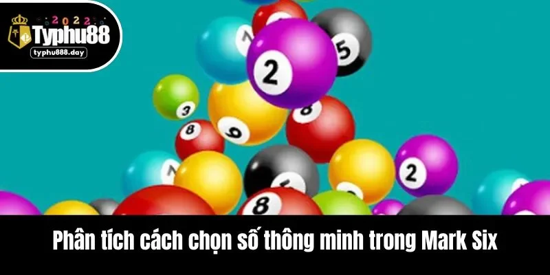 Phân tích cách chọn số thông minh trong Mark Six