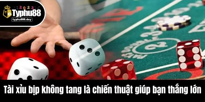 Tài xỉu bịp không tang là chiến thuật giúp bạn thắng lớn