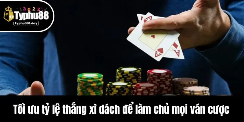 Tối ưu tỷ lệ thắng xì dách để làm chủ mọi ván cược